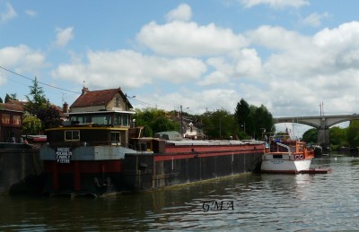 mindoro-arrd.jpg (385.8 Kio) Vu 1614 fois mindoro-arrd.jpg