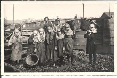 Denain les caffus.jpg (520 Kio) Vu 2125 fois Denain les caffus.jpg