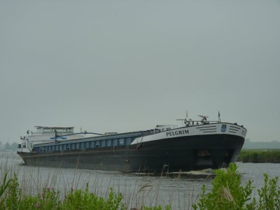Pelgrim-1-09-07-2014.jpg