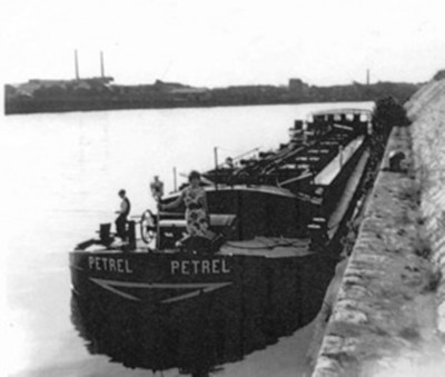 Petrel_t.jpg