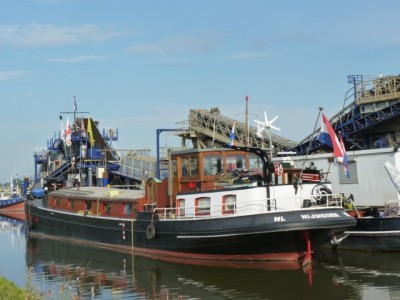 coral-2.jpg (71.32 Kio) Vu 1504 fois coral-2.jpg