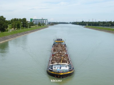 P1030470 (Copier).JPG (80.25 Kio) Vu 1110 fois P1030470 (Copier).JPG