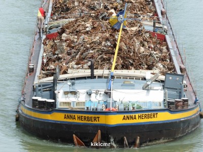 P1030467 (Copier).JPG (142.36 Kio) Vu 1061 fois P1030467 (Copier).JPG