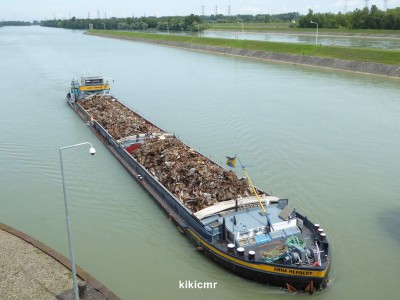 P1030471 (Copier).JPG (102.82 Kio) Vu 1110 fois P1030471 (Copier).JPG