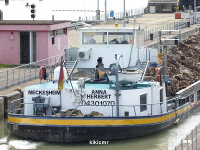 P1030484 (Copier).JPG (114.82 Kio) Vu 1061 fois P1030484 (Copier).JPG