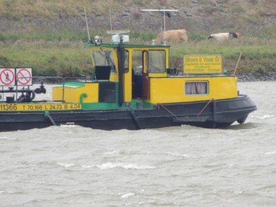 DSCN8369 (Copier).JPG (192.31 Kio) Vu 2047 fois DSCN8369 (Copier).JPG