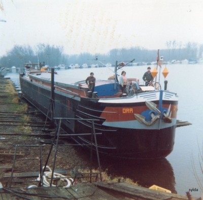 img361.jpg