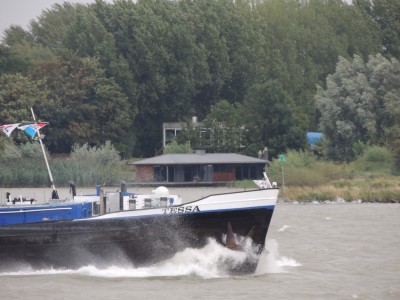 DSCN8406 (Copier).JPG (194.16 Kio) Vu 1532 fois DSCN8406 (Copier).JPG