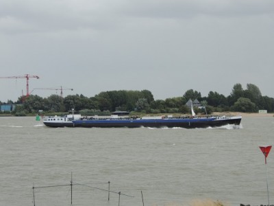 DSCN8407 (Copier).JPG (118.95 Kio) Vu 1532 fois DSCN8407 (Copier).JPG