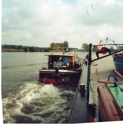 img377.jpg