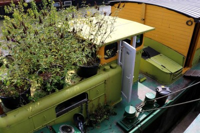 dol1.jpg (157.03 Kio) Vu 2266 fois dol1.jpg