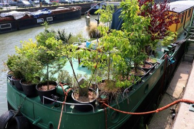 dol3.jpg (186.56 Kio) Vu 2261 fois dol3.jpg