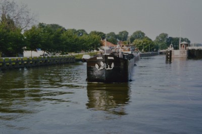 RAOUL.jpg (177.23 Kio) Vu 931 fois RAOUL.jpg