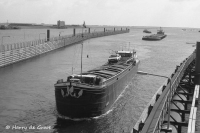 Duo 02308731 (1).jpg (154.76 Kio) Vu 1024 fois Duo 02308731 (1).jpg