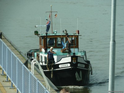 Citius-2-16-09-2014.jpg (235.45 Kio) Vu 1700 fois Citius-2-16-09-2014.jpg