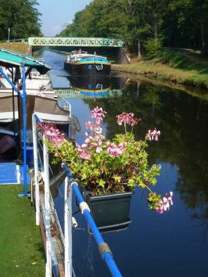 01_2014-10-01 - Merlin-003.jpg (71.67 Kio) Vu 3995 fois 01_2014-10-01 - Merlin-003.jpg