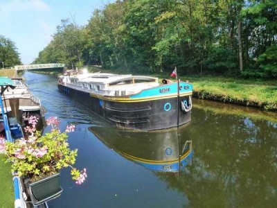 01_2014-10-01 - Merlin-006.jpg (72.44 Kio) Vu 4015 fois 01_2014-10-01 - Merlin-006.jpg