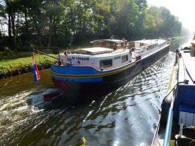 01_2014-10-01 - Merlin-007.jpg (74.81 Kio) Vu 4020 fois 01_2014-10-01 - Merlin-007.jpg