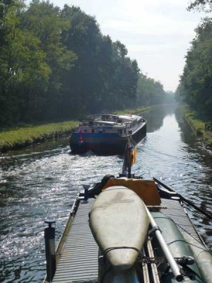 01_2014-10-01 - Merlin-009.jpg (69.08 Kio) Vu 4183 fois 01_2014-10-01 - Merlin-009.jpg