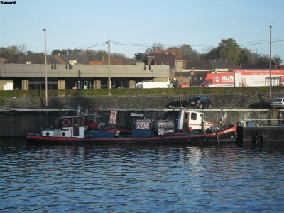 SAM_3640.JPG (163.69 Kio) Vu 2591 fois SAM_3640.JPG