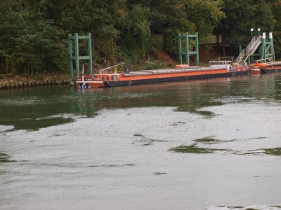 PA073145 (Copier).JPG (243.8 Kio) Vu 4911 fois PA073145 (Copier).JPG