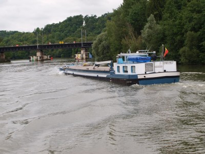 P7122994 (Copier).JPG (248 Kio) Vu 3623 fois P7122994 (Copier).JPG