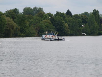 P7122991 (Copier).JPG (185.41 Kio) Vu 3623 fois P7122991 (Copier).JPG