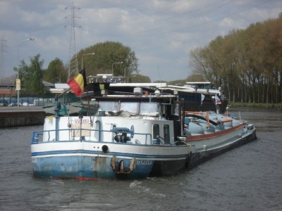 Con Zelo 10.JPG (121.71 Kio) Vu 4509 fois Con Zelo 10.JPG