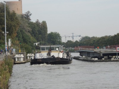 DSCN8617 (Copier).JPG (190.29 Kio) Vu 1048 fois DSCN8617 (Copier).JPG