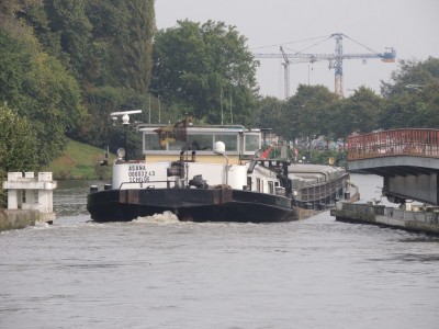 DSCN8622 (Copier).JPG (224.17 Kio) Vu 1050 fois DSCN8622 (Copier).JPG