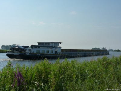 Medusa-4-10-07-2014.jpg