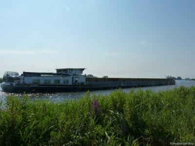 Medusa-3-10-07-2014.jpg