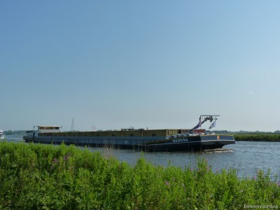 Medusa-2-10-07-2014.jpg