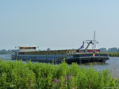 Medusa-1-10-07-2014.jpg
