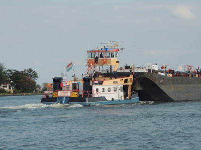 DSCN8594 (Copier).JPG (162.46 Kio) Vu 1515 fois DSCN8594 (Copier).JPG