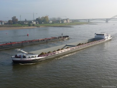 Amaranthus-3-28-10-2014.jpg