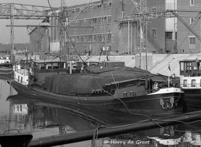 Hendrika 02305363 (1).jpg (135.12 Kio) Vu 1721 fois Hendrika 02305363 (1).jpg