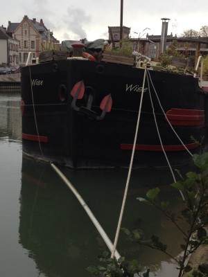 wise.jpg (204.64 Kio) Vu 6992 fois wise.jpg