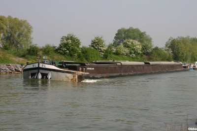 Enzo BL 12.JPG (116.12 Kio) Vu 4067 fois Enzo BL 12.JPG