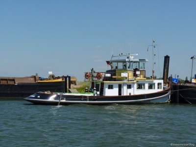 Zwarte-Gans-3-03-07-2014.jpg (161.37 Kio) Vu 1760 fois Zwarte-Gans-3-03-07-2014.jpg