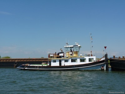 Zwarte-Gans-2-03-07-2014.jpg (149.47 Kio) Vu 1760 fois Zwarte-Gans-2-03-07-2014.jpg