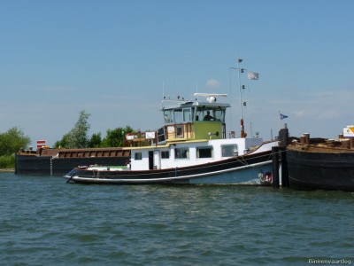 Zwarte-Gans-1-03-07-2014.jpg (167.7 Kio) Vu 1760 fois Zwarte-Gans-1-03-07-2014.jpg