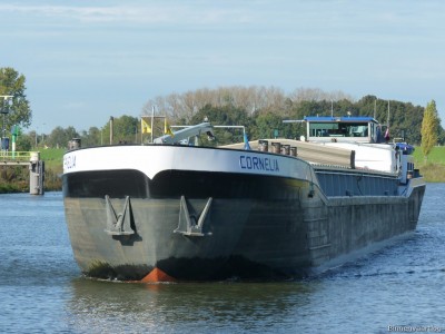 Cornelia-1-19-10-2014.jpg