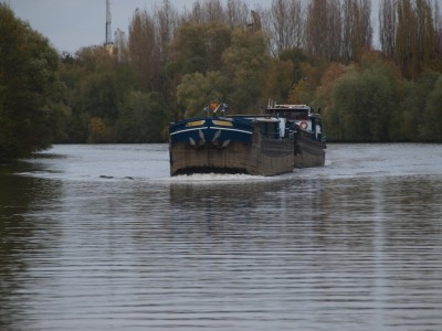 PB083464 (Copier).JPG