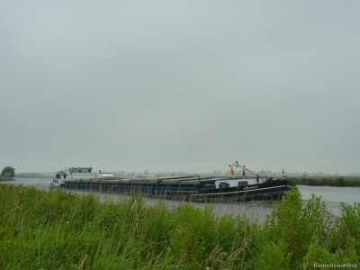 Avena-2-09-07-2014.jpg