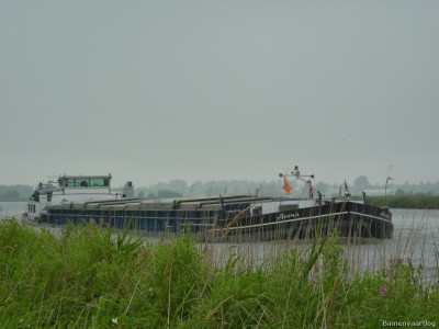 Avena-1-09-07-2014.jpg