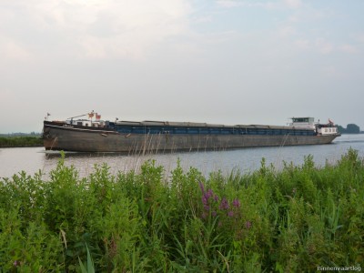 Avena-2-10-07-2014.jpg