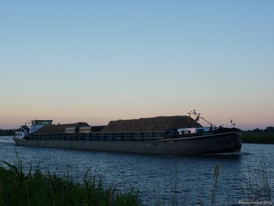 Avena-3-11-07-2014.jpg