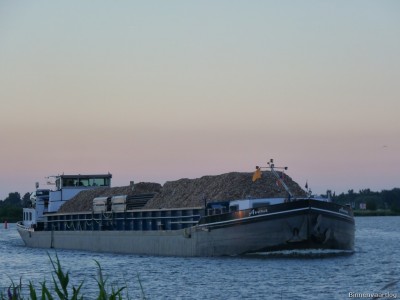 Avena-2-11-07-2014.jpg