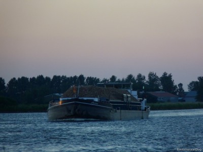 Avena-1-11-07-2014.jpg